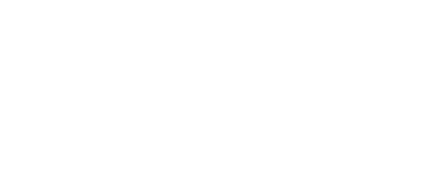 Flex Logo